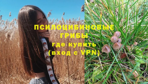 дживик Зерноград