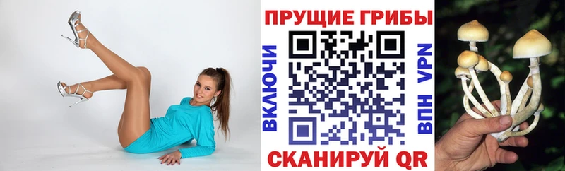 Псилоцибиновые грибы мицелий  Купить закладки  Елизово 